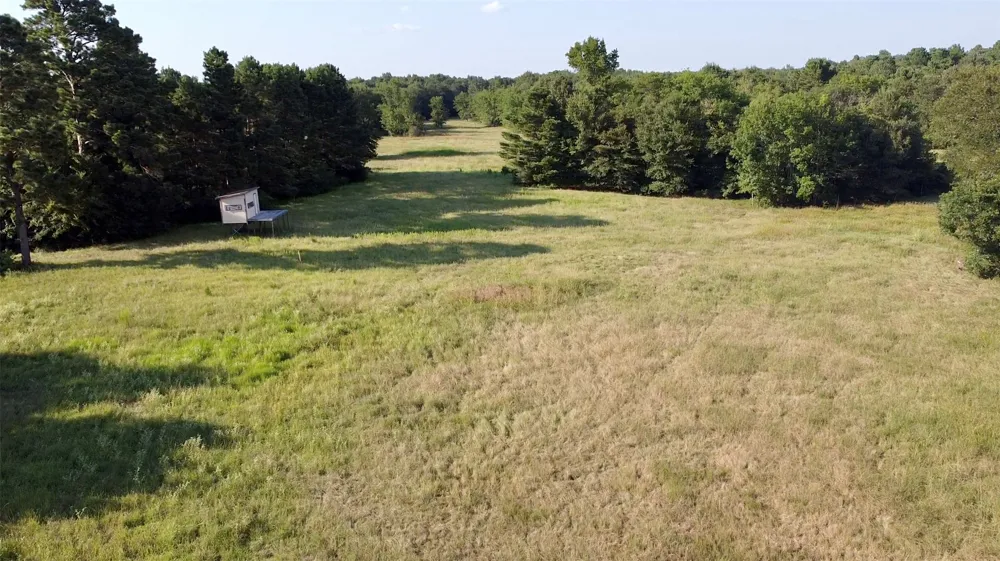 County Road 4025 Lovelady, TX 75851