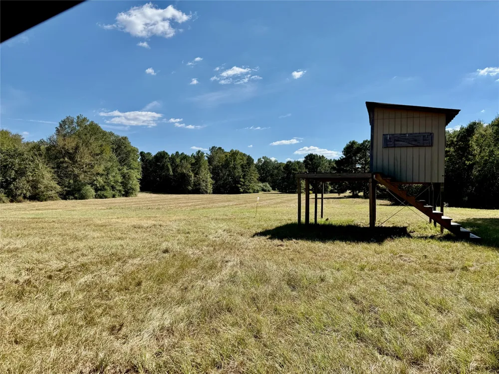 County Road 4025 Lovelady, TX 75851