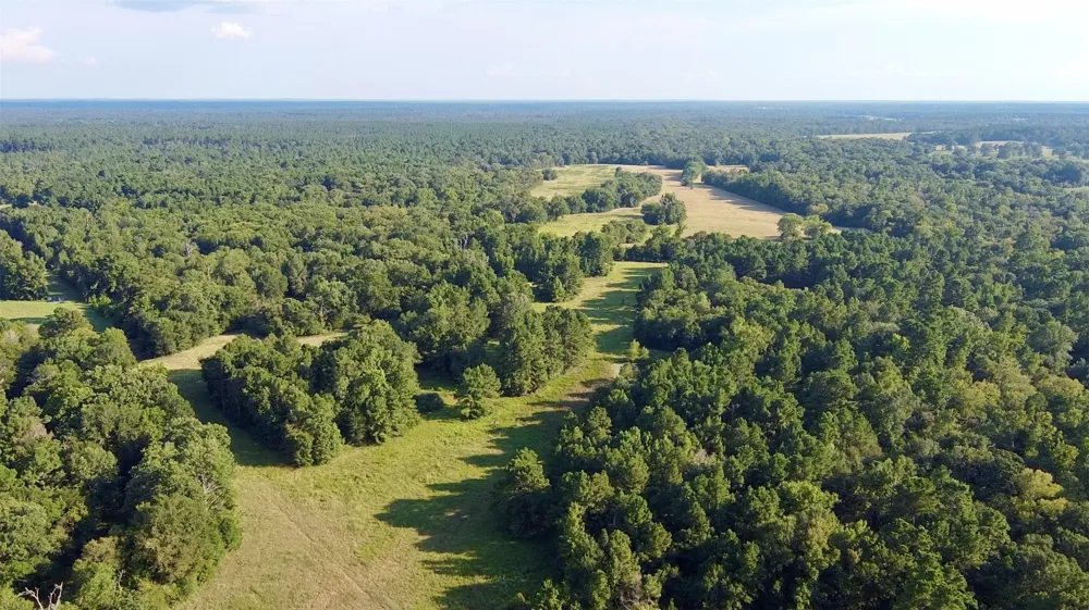 County Road 4025 Lovelady, TX 75851