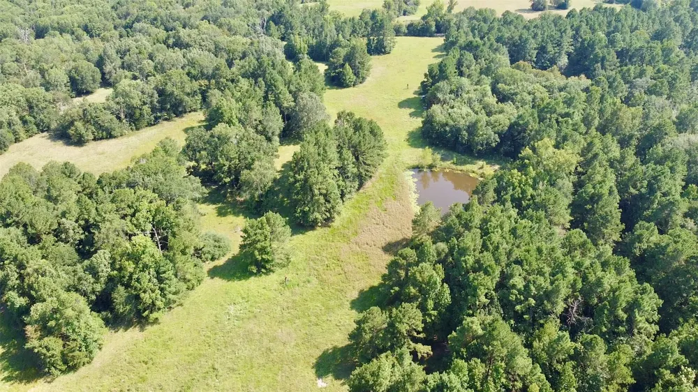 County Road 4025 Lovelady, TX 75851