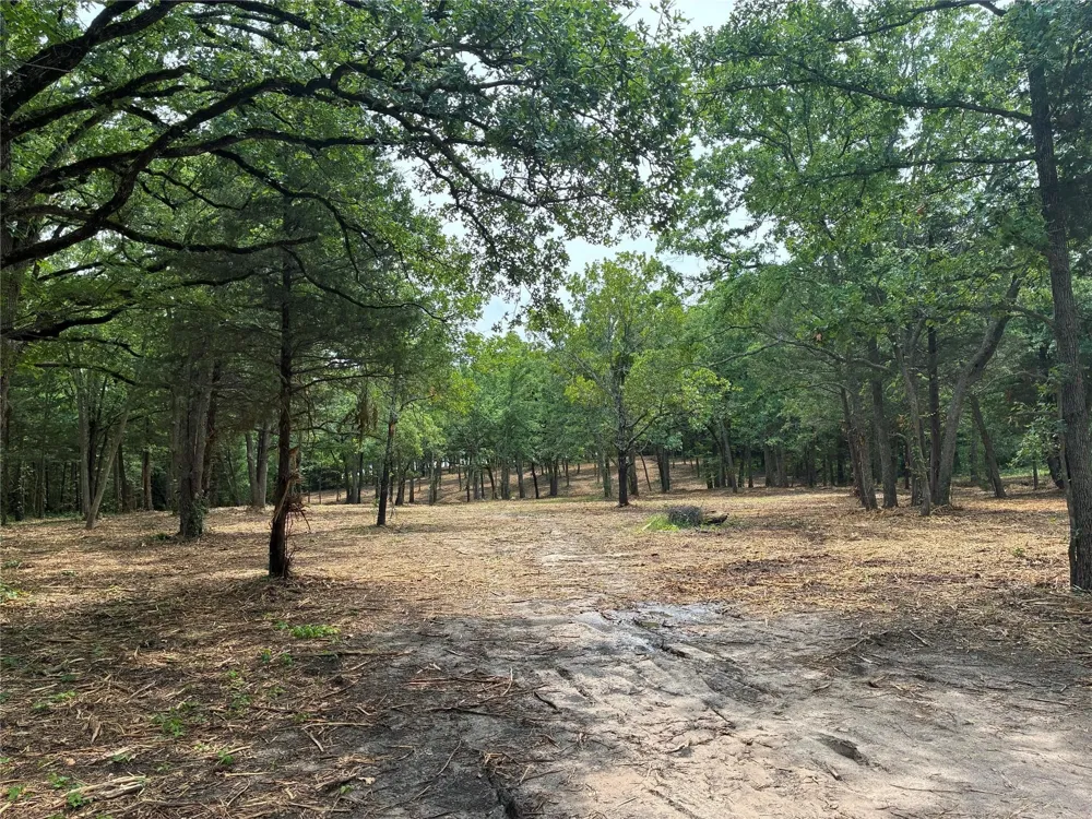 1981 Underwood 1B Quinlan, TX 75474