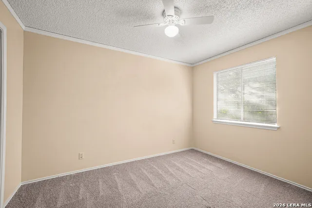 8726 Timber Range San Antonio, TX 78250