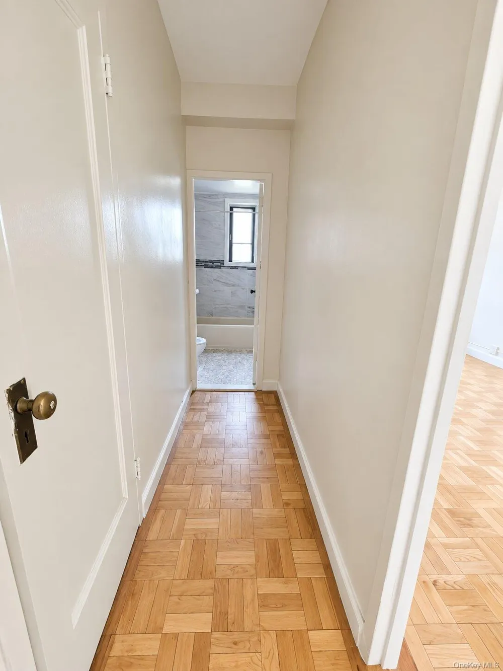 1920 McGraw Avenue #MD Bronx, NY 10462
