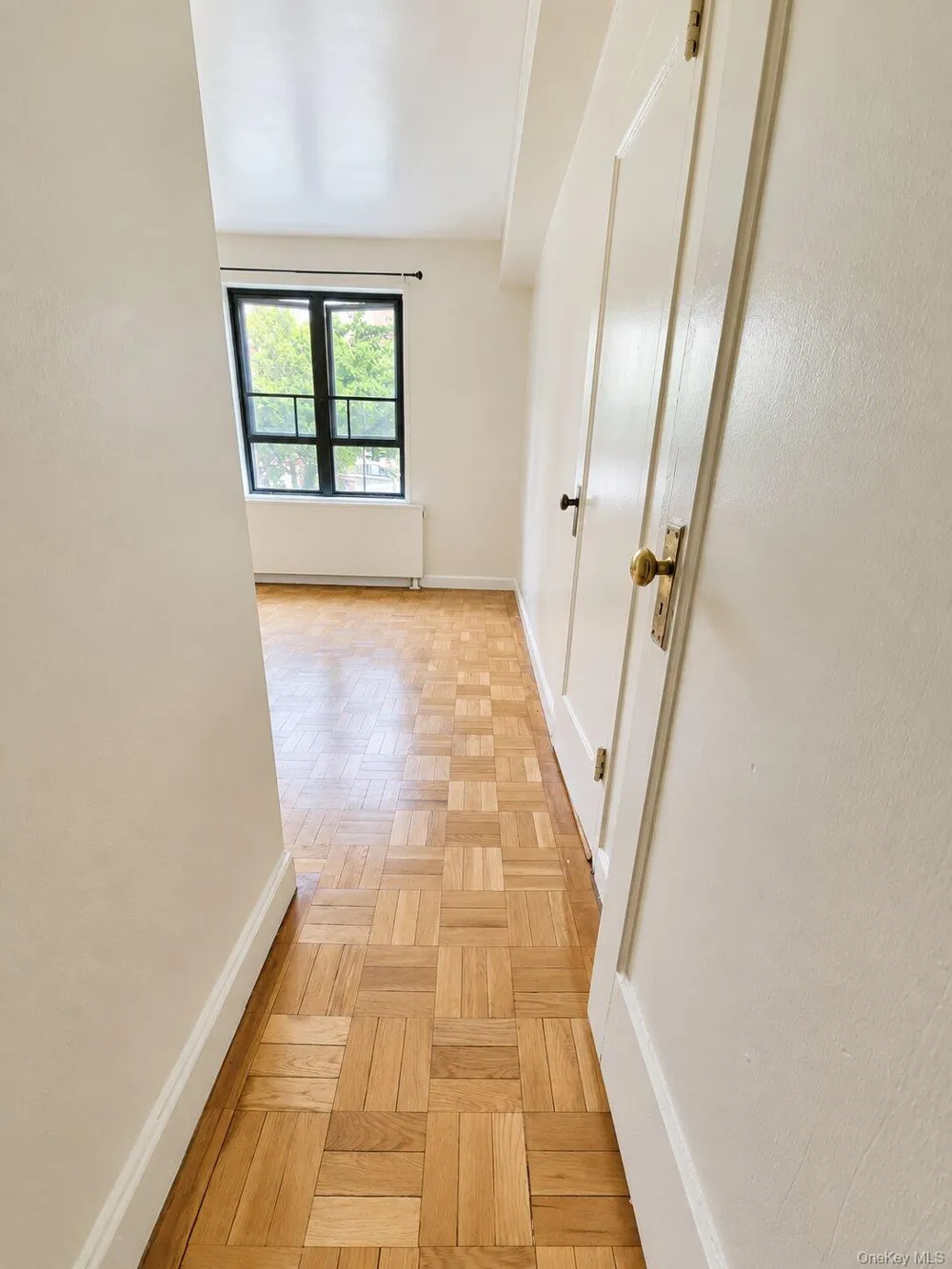 1920 McGraw Avenue #MD Bronx, NY 10462