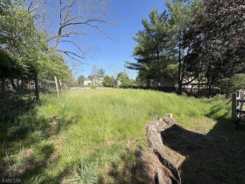 117 Lilac Drive Clinton, NJ 08801