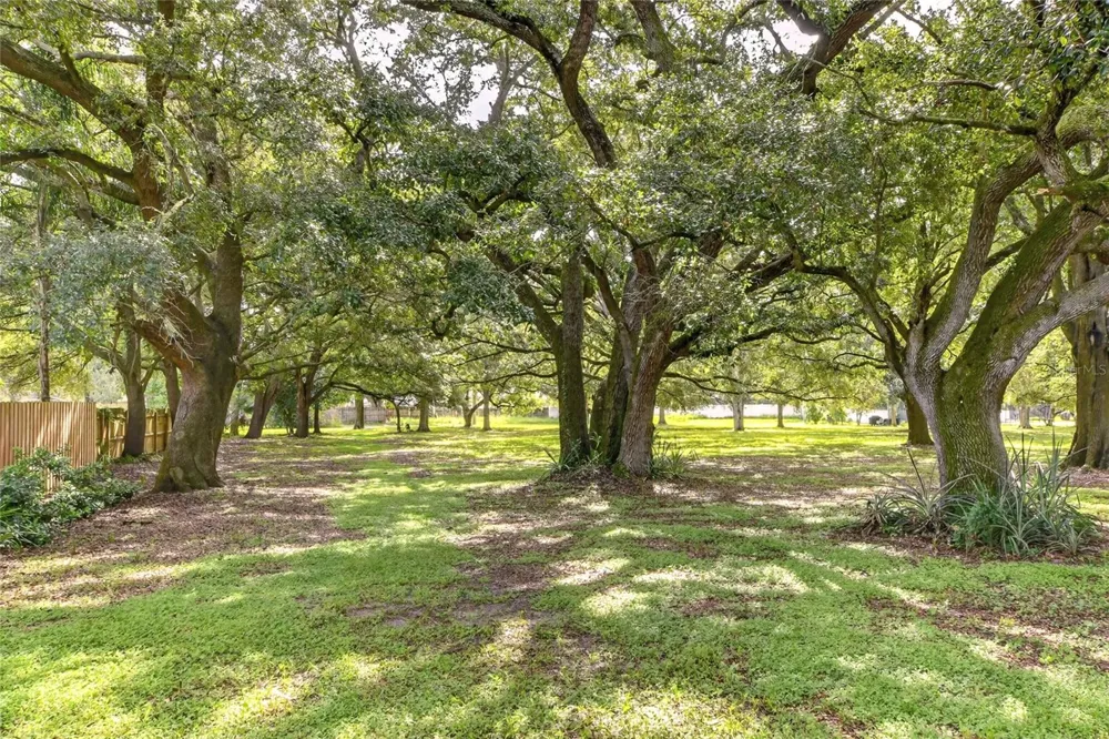 4401 CHAMBLISS ROAD Winter Haven, FL 33884