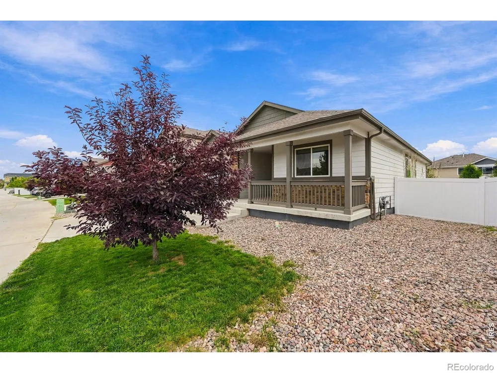 909 Ponderosa Drive Severance, CO 80550