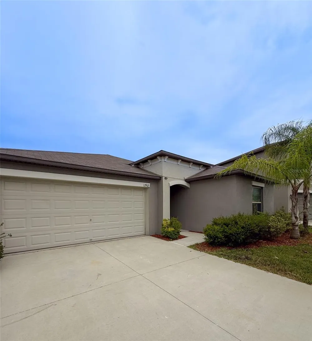 12903 WILDFLOWER MEADOW DRIVE Riverview, FL 33579
