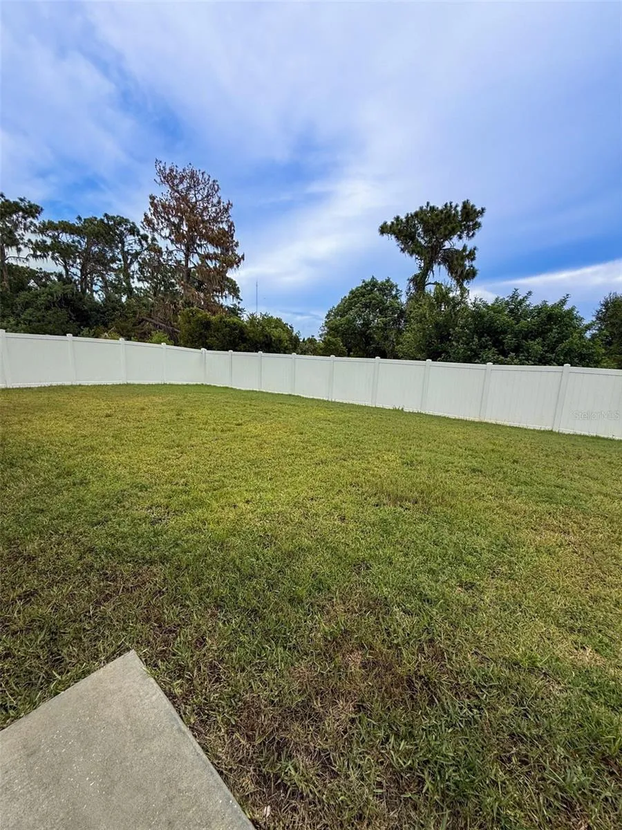 12903 WILDFLOWER MEADOW DRIVE Riverview, FL 33579