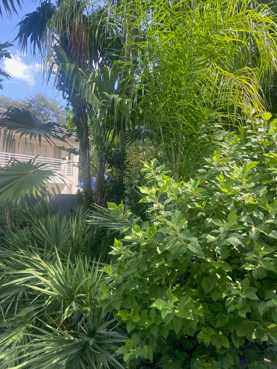 6995 SW 67TH AVENUE South Miami, FL 33143