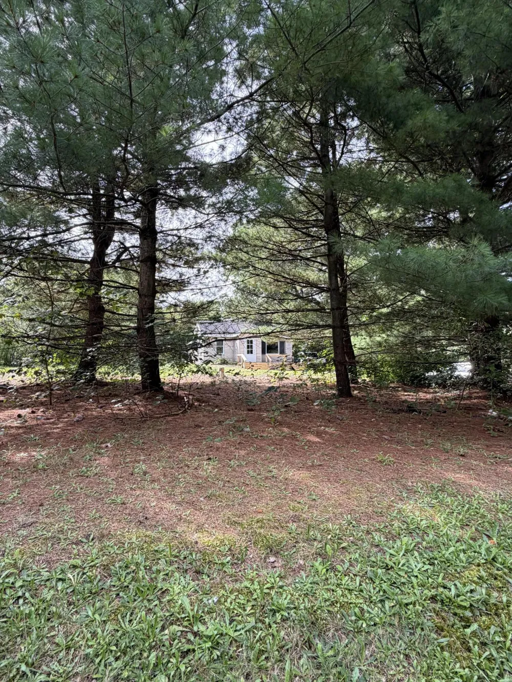 3820 E D AVENUE Cooper Charter Township, MI 49009