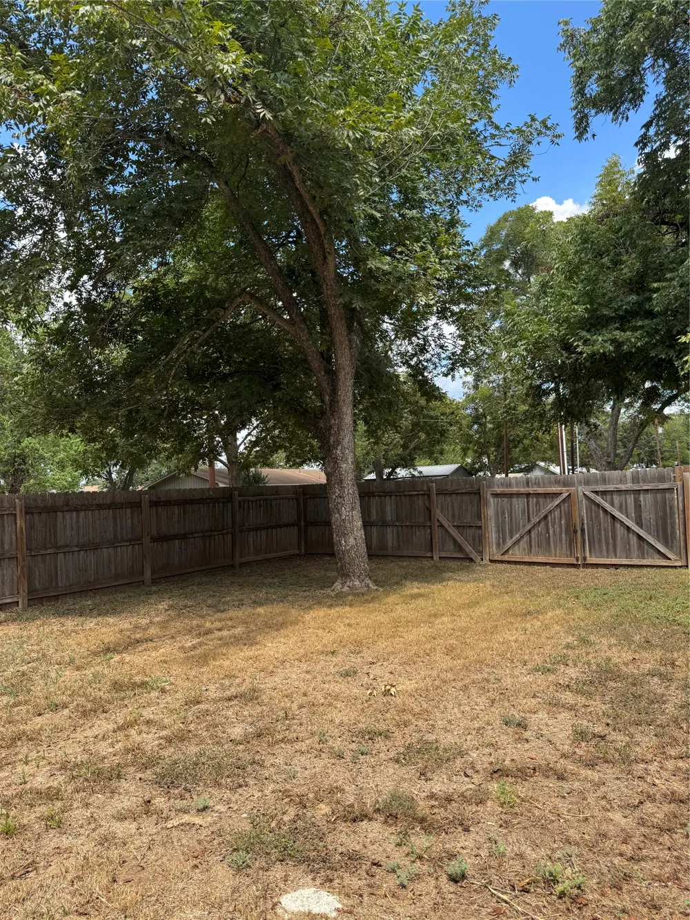 509 Whitehead Street Smithville, TX 78957