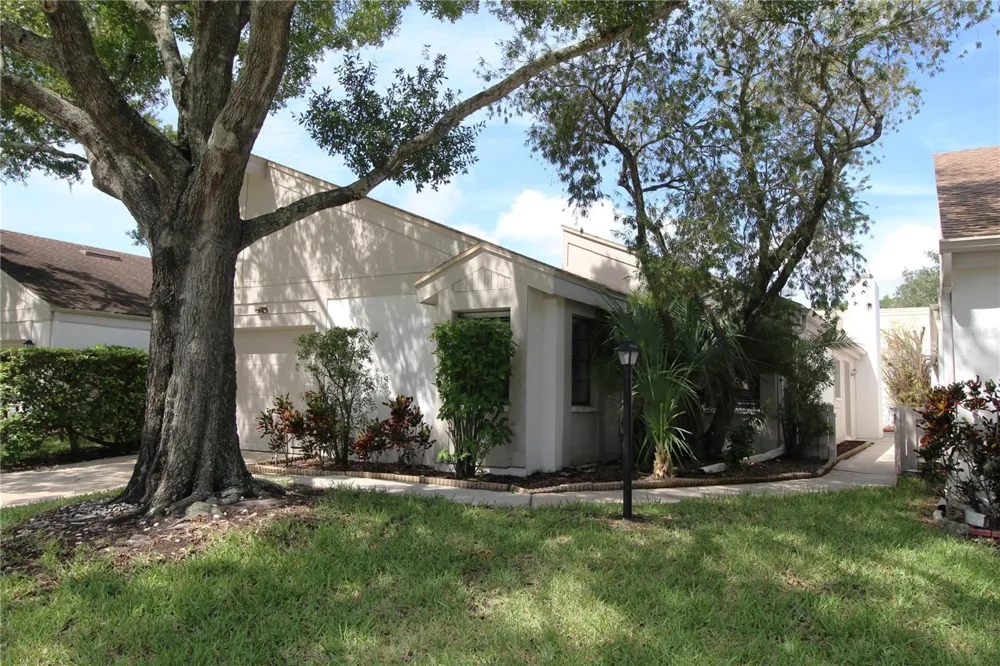 390 S WOODLANDS DRIVE Oldsmar, FL 34677