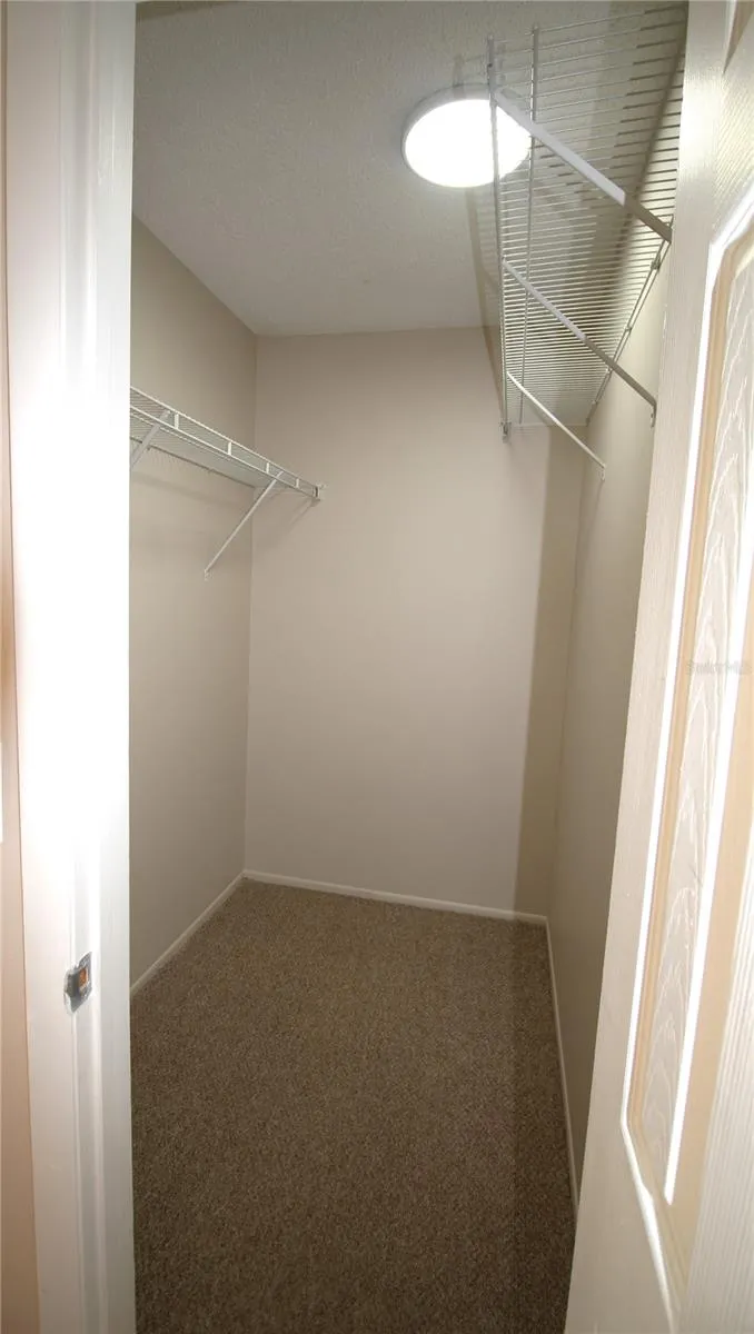 390 S WOODLANDS DRIVE Oldsmar, FL 34677