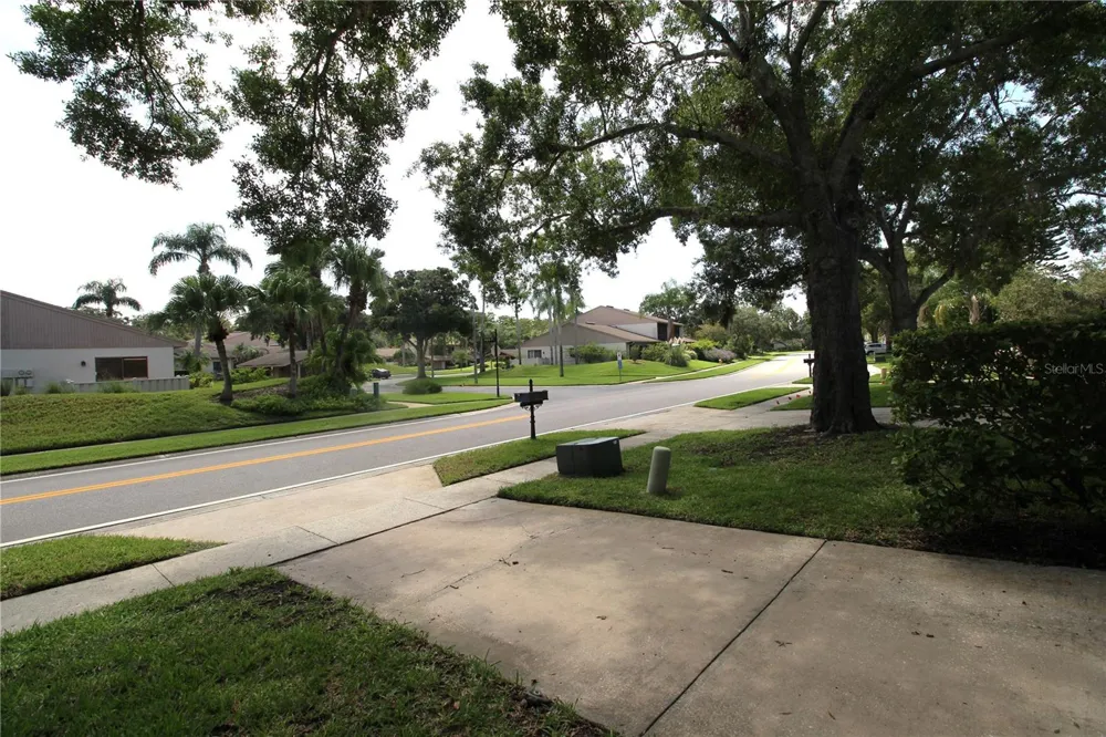 390 S WOODLANDS DRIVE Oldsmar, FL 34677