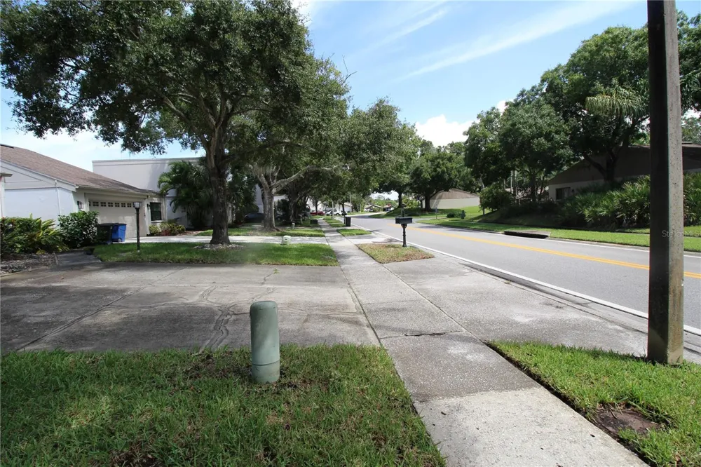 390 S WOODLANDS DRIVE Oldsmar, FL 34677