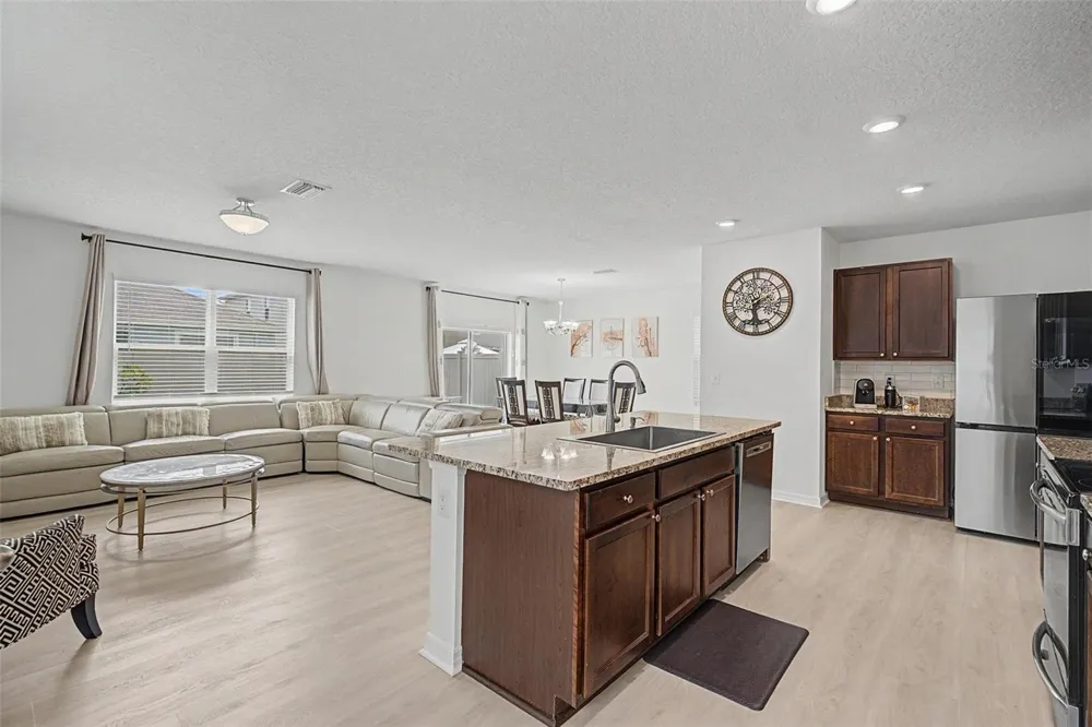 32664 DASHEL PALM LANE Wesley Chapel, FL 33543