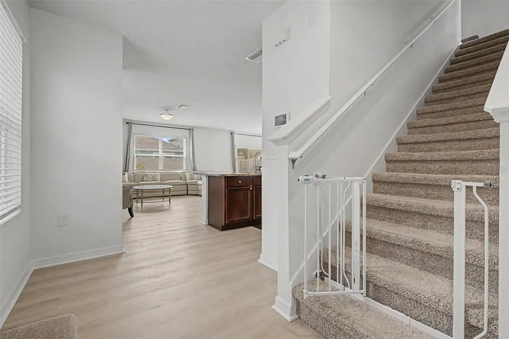 32664 DASHEL PALM LANE Wesley Chapel, FL 33543
