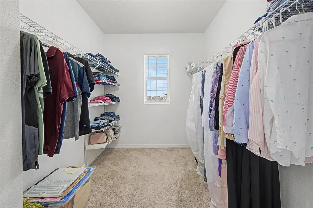 32664 DASHEL PALM LANE Wesley Chapel, FL 33543