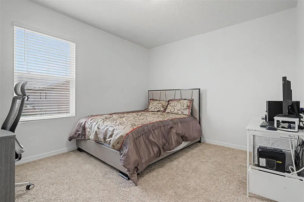 32664 DASHEL PALM LANE Wesley Chapel, FL 33543