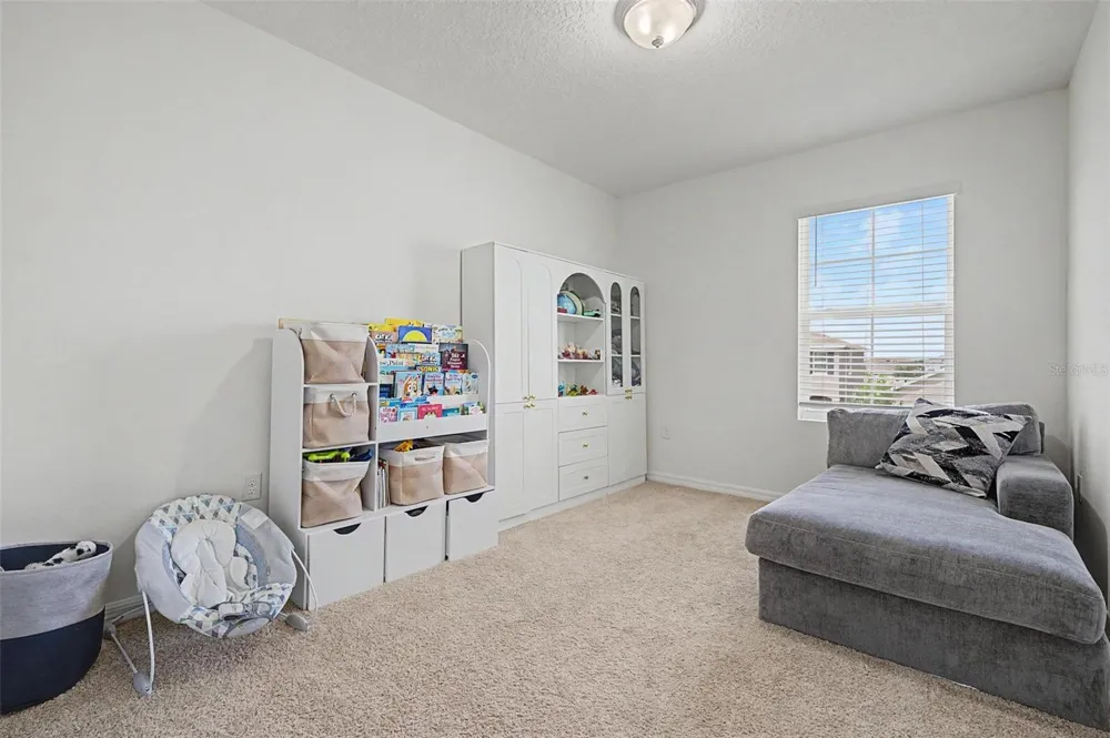 32664 DASHEL PALM LANE Wesley Chapel, FL 33543