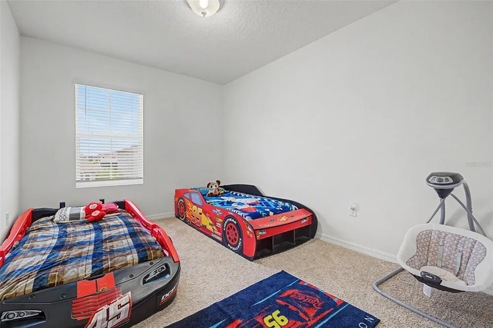 32664 DASHEL PALM LANE Wesley Chapel, FL 33543