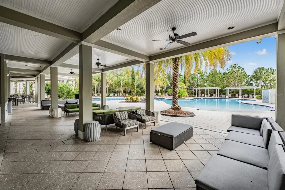 32664 DASHEL PALM LANE Wesley Chapel, FL 33543
