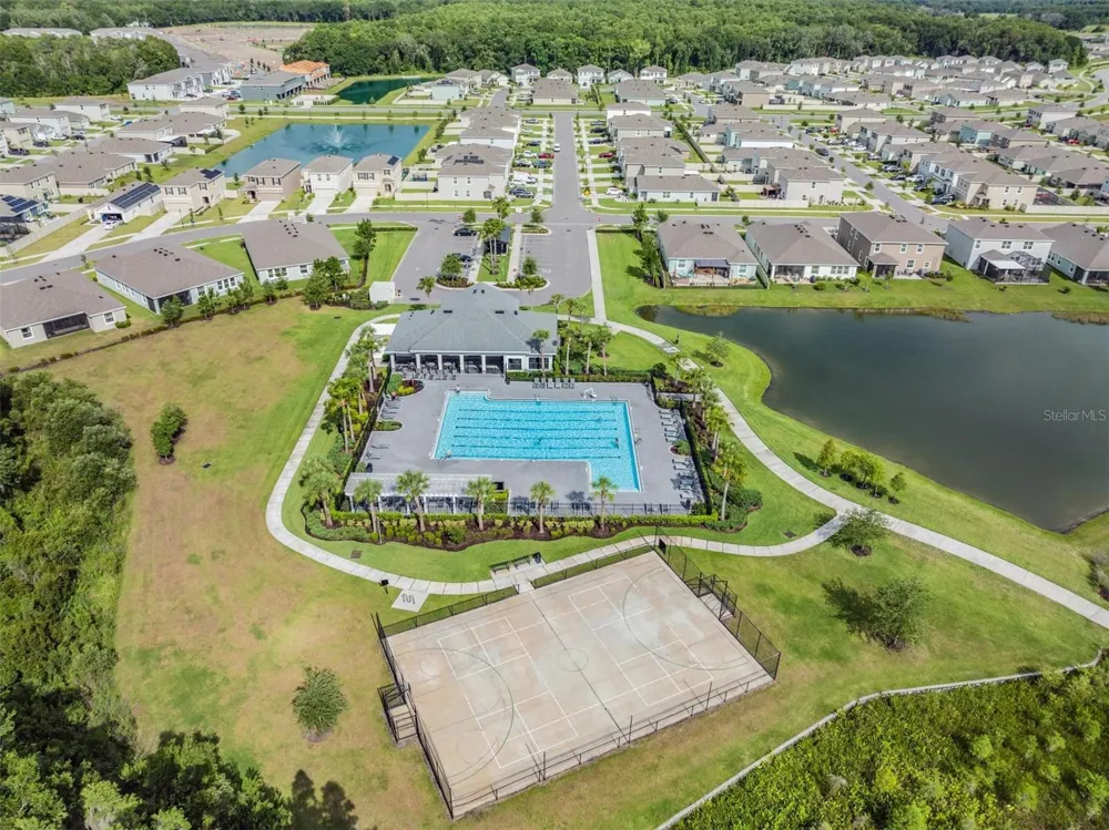 32664 DASHEL PALM LANE Wesley Chapel, FL 33543