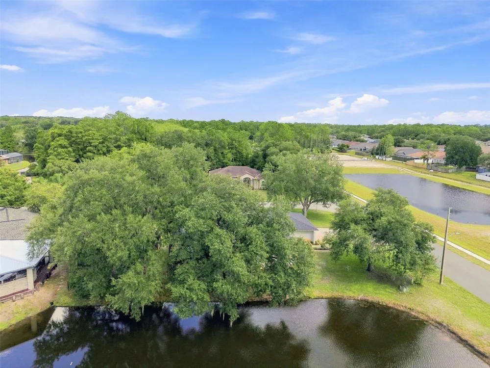 9639 ALVERNON DRIVE New Port Richey, FL 34655