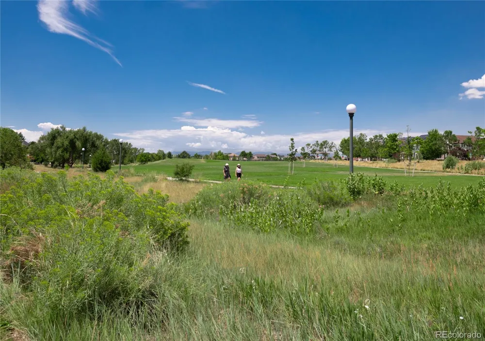 3031 Trenton Street Denver, CO 80238