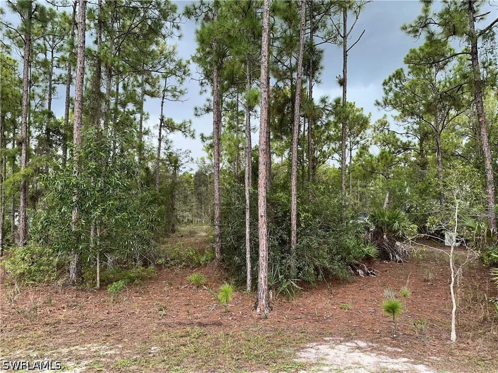 45th Avenue NE Naples, FL 34120