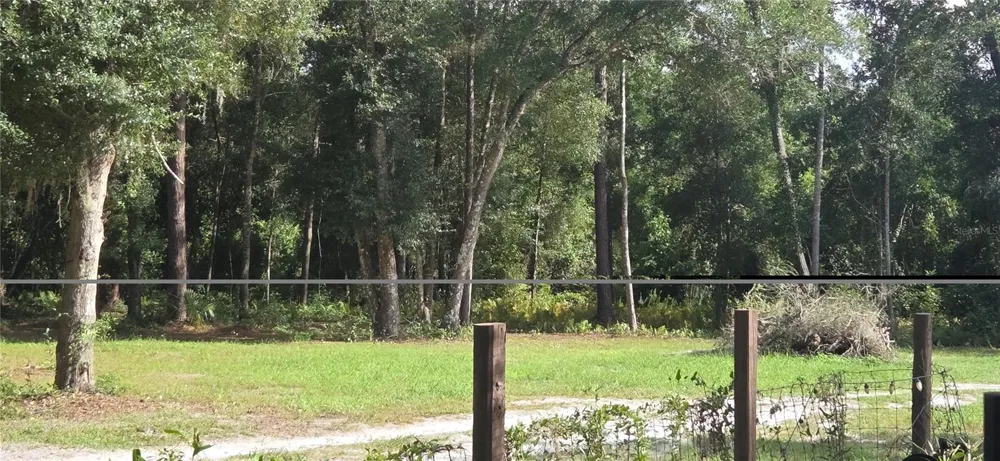 407 RAULERSON ROAD Seville, FL 32190