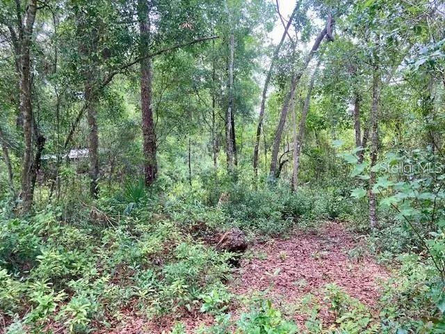 407 RAULERSON ROAD Seville, FL 32190