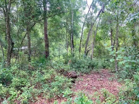407 RAULERSON ROAD