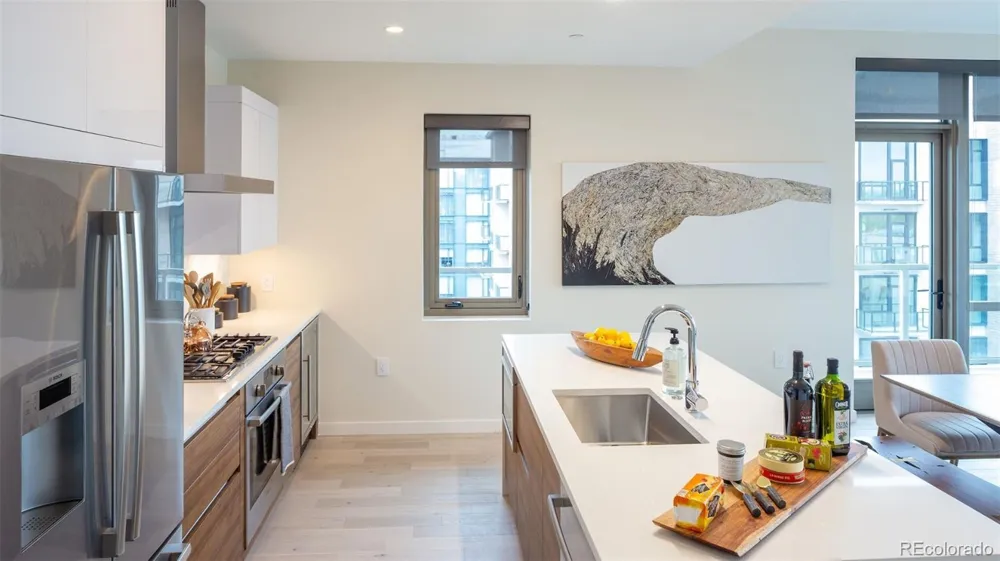 210 Saint Paul Street #313 Denver, CO 80206
