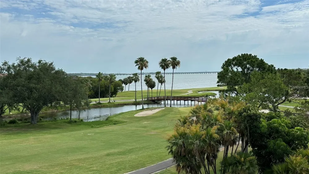 2618 COVE CAY DRIVE #102 Clearwater, FL 33760