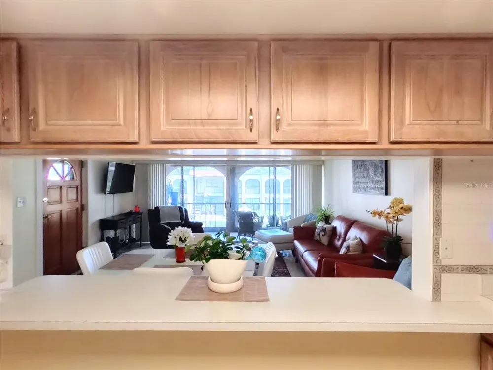 7701 STARKEY ROAD #436 Seminole, FL 33777