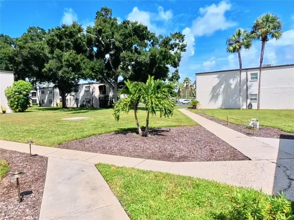 7701 STARKEY ROAD #436 Seminole, FL 33777