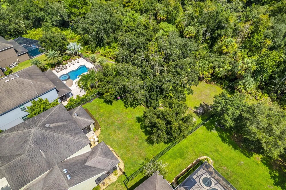 7931 HAMPTON LAKE DRIVE Tampa, FL 33647