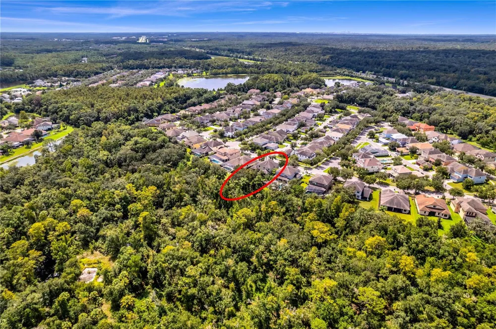 7931 HAMPTON LAKE DRIVE Tampa, FL 33647
