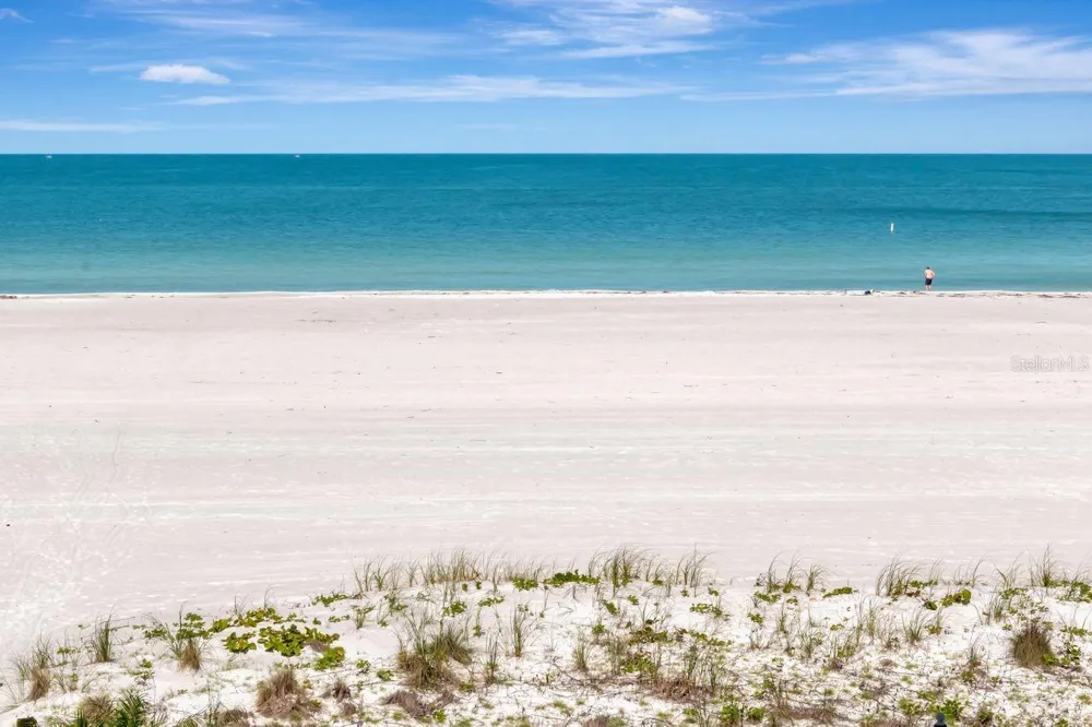 1350 GULF BOULEVARD #301 Clearwater, FL 33767