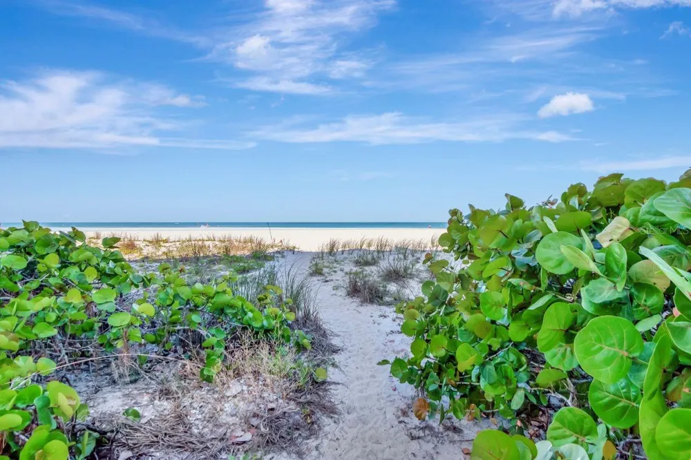1350 GULF BOULEVARD #301 Clearwater, FL 33767