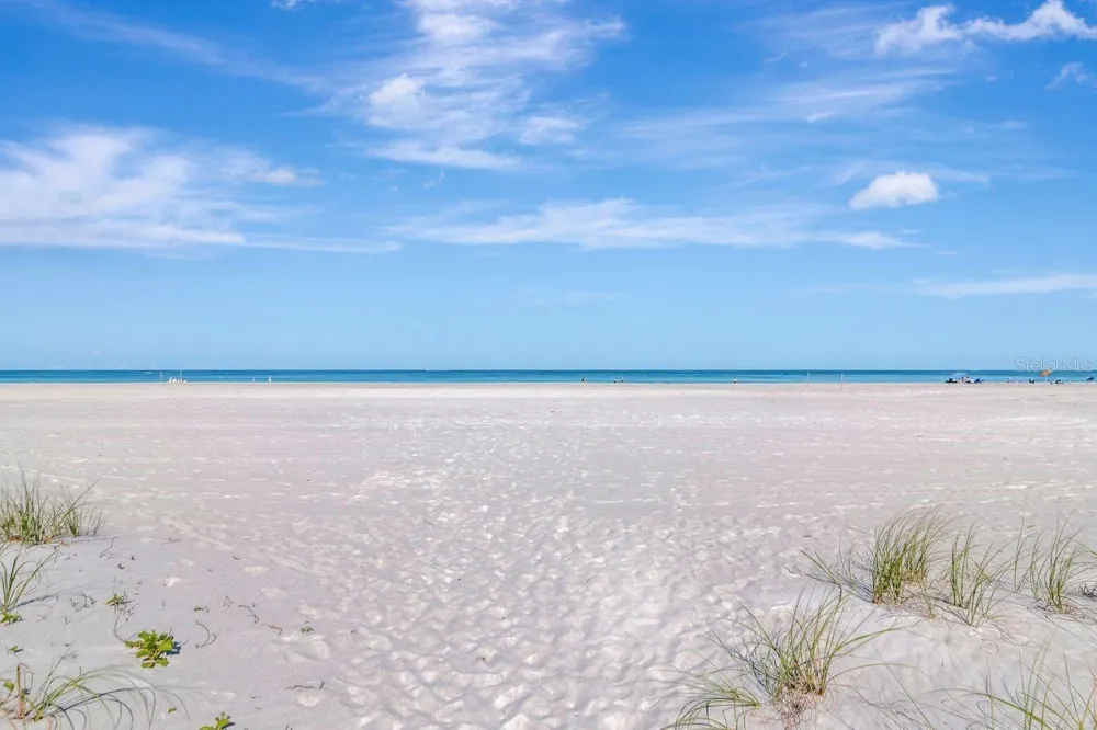 1350 GULF BOULEVARD #301 Clearwater, FL 33767