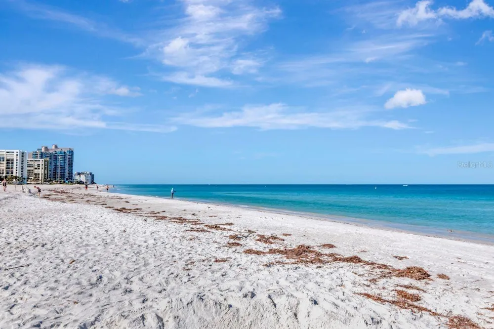 1350 GULF BOULEVARD #301 Clearwater, FL 33767