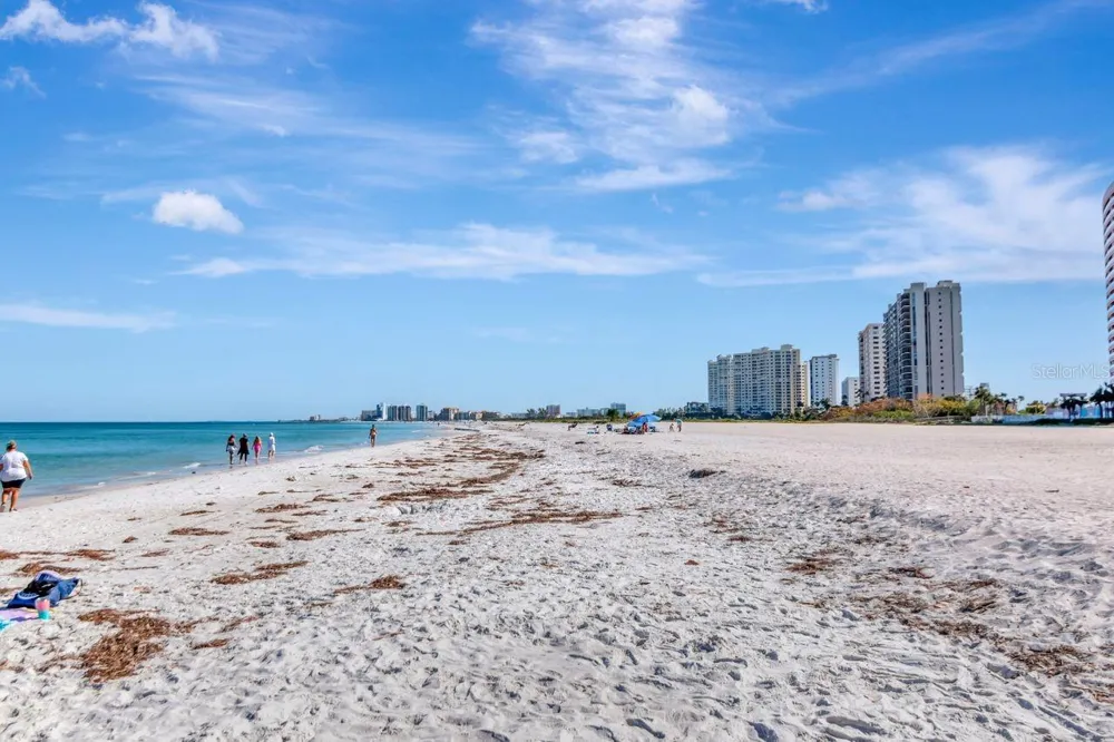 1350 GULF BOULEVARD #301 Clearwater, FL 33767