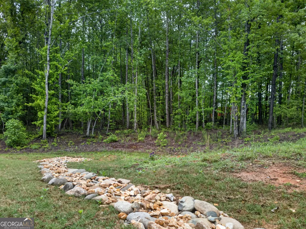 62 Joe Rowell RD Buchanan, GA 30113