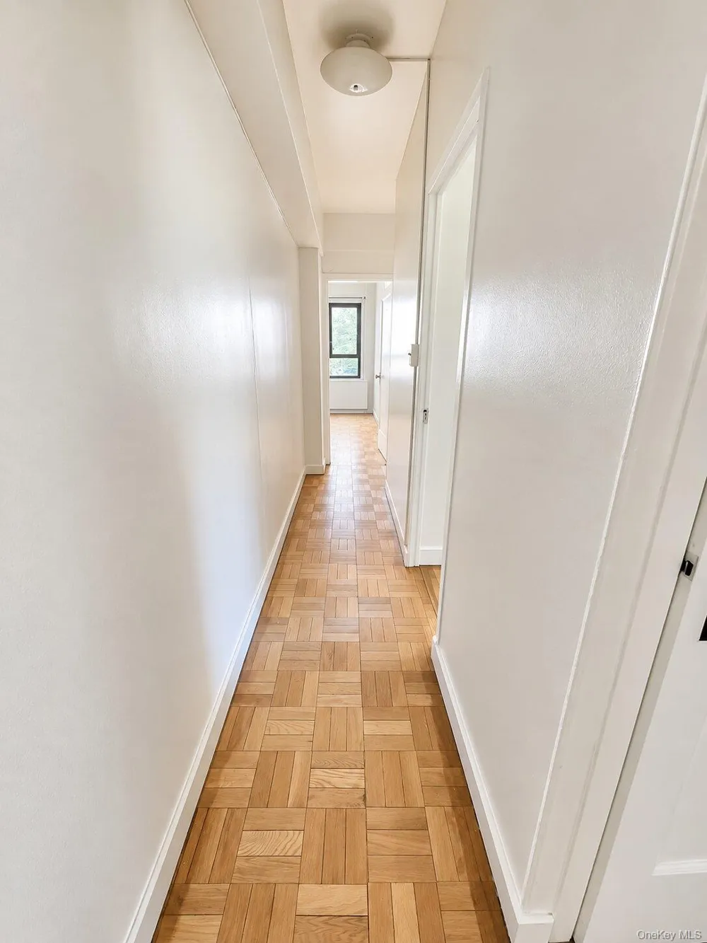 1920 McGraw Avenue #MD Bronx, NY 10462