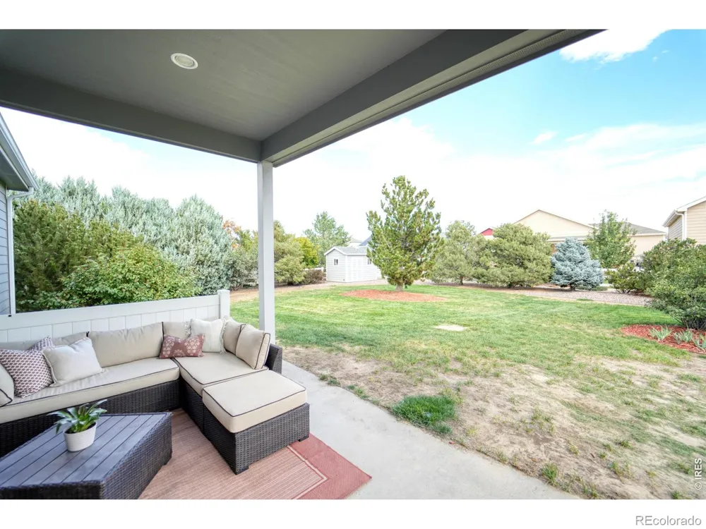 1226 Baldridge Drive Severance, CO 80615