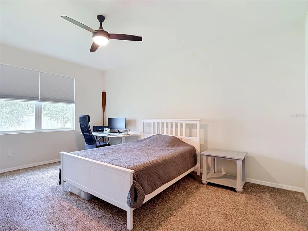 31686 TANSY BEND Wesley Chapel, FL 33545