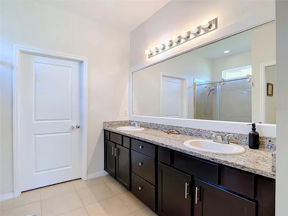31686 TANSY BEND Wesley Chapel, FL 33545